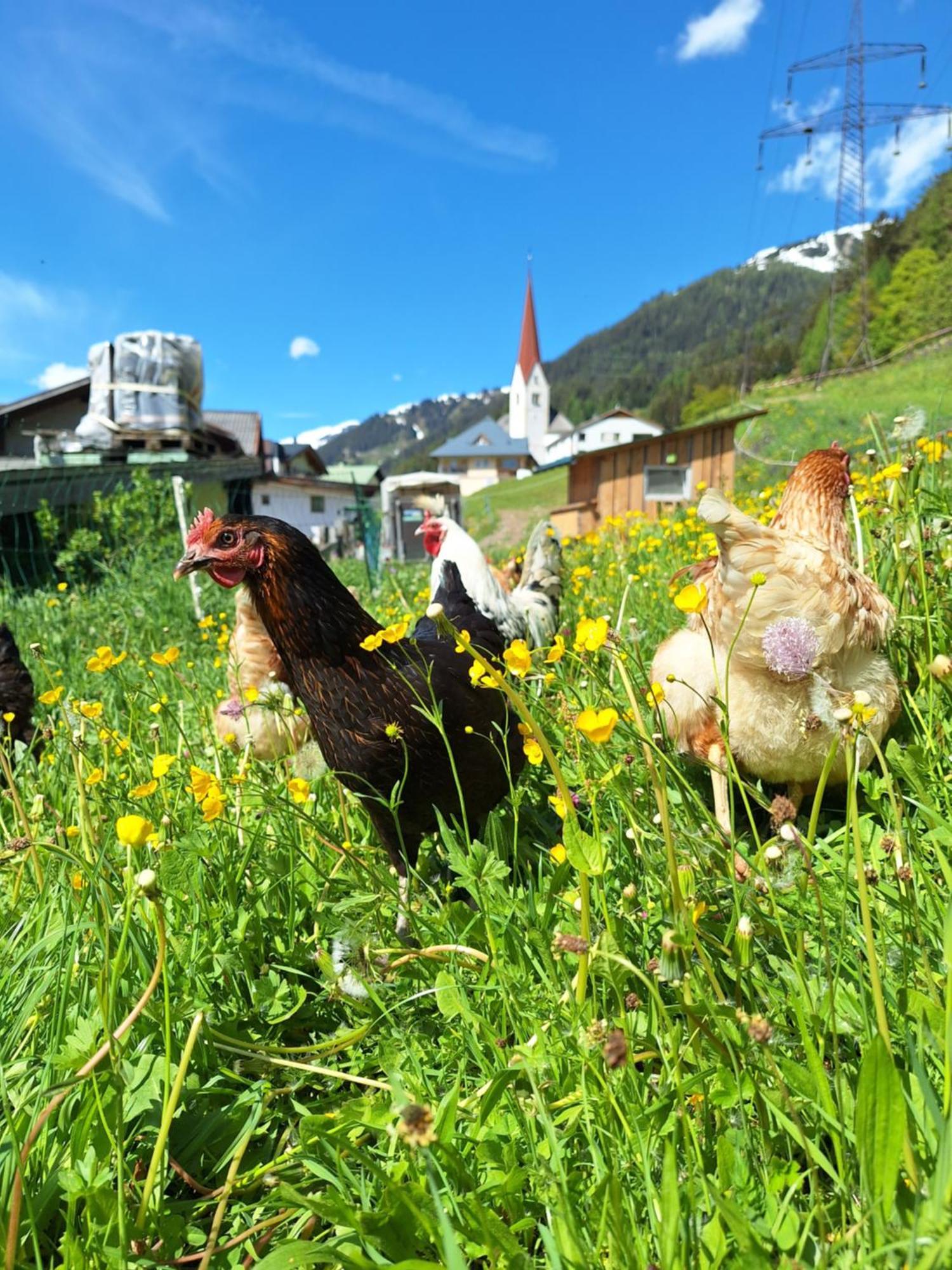 Apartamento Gsoerhof Sankt Anton am Arlberg Exterior foto