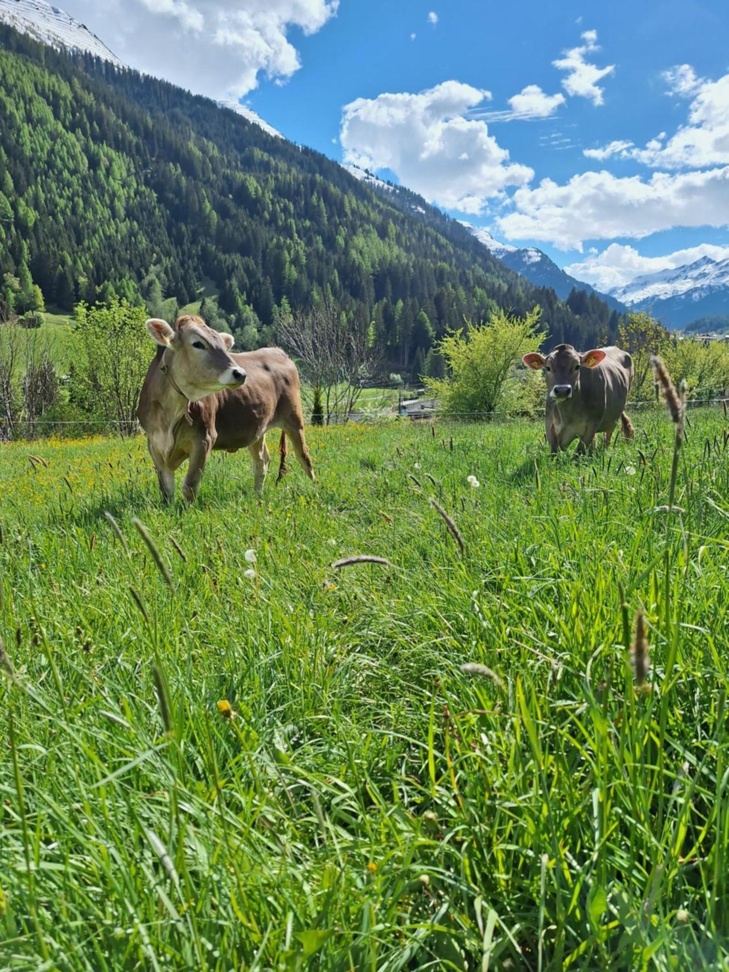 Apartamento Gsoerhof Sankt Anton am Arlberg Exterior foto